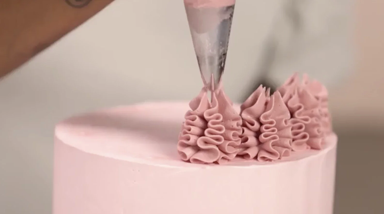 Master Skills From Top Creators